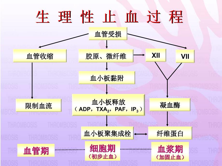 抗血小板药的临床选择课件幻灯_第3页