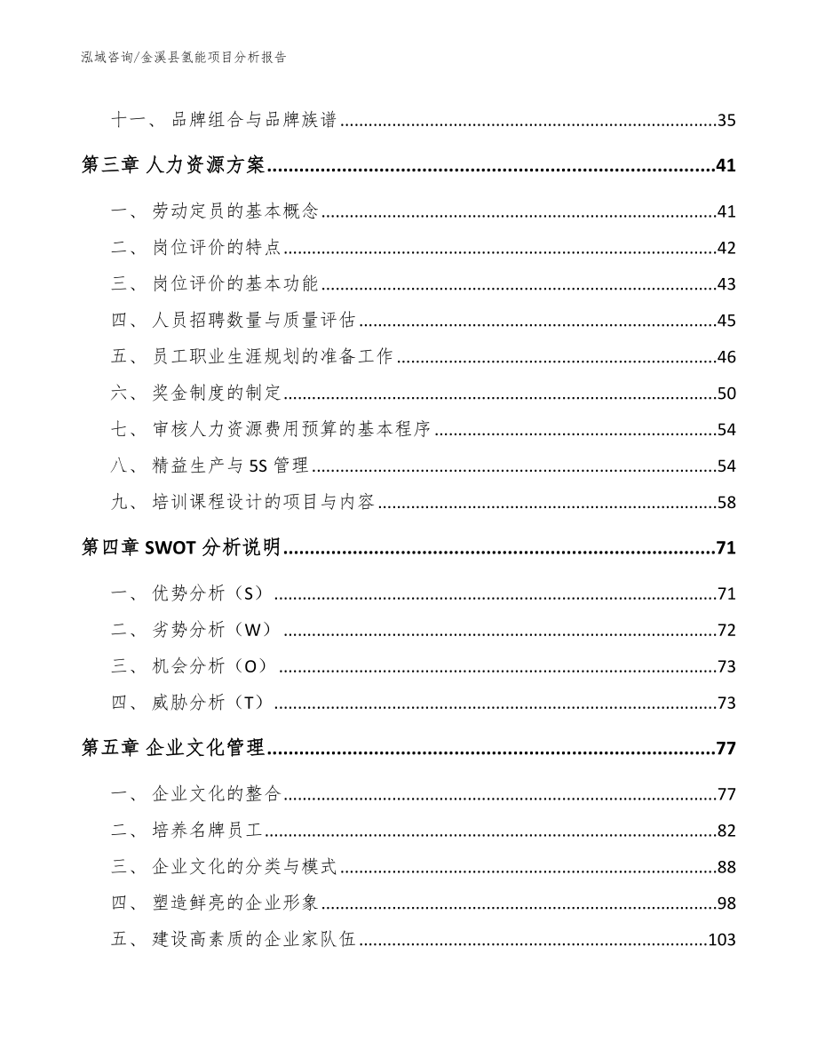 金溪县氢能项目分析报告（模板）_第2页