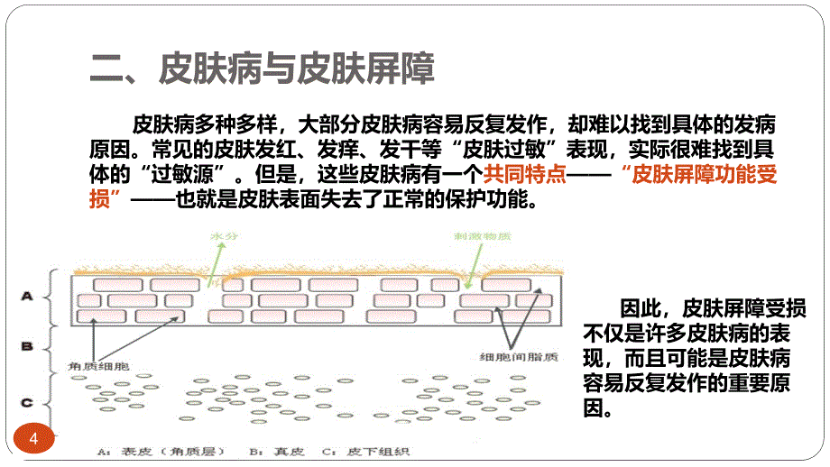 《修复皮肤屏障保湿类护肤品应用指南》解读_第4页