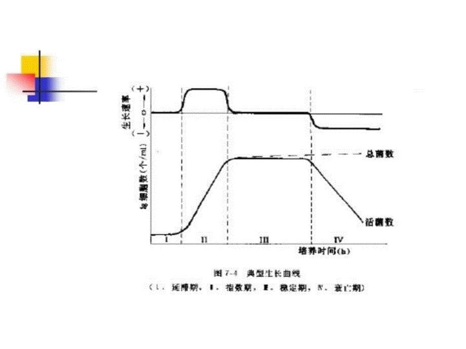 最新微生物的生长及影响因素PPT课件_第5页