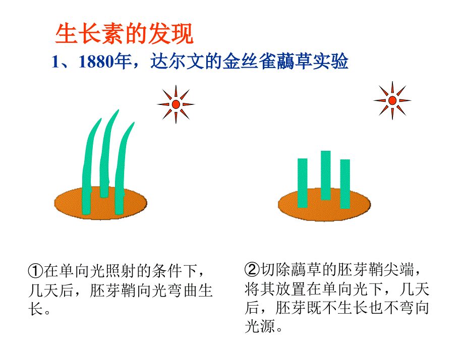 植物活命活动_第2页