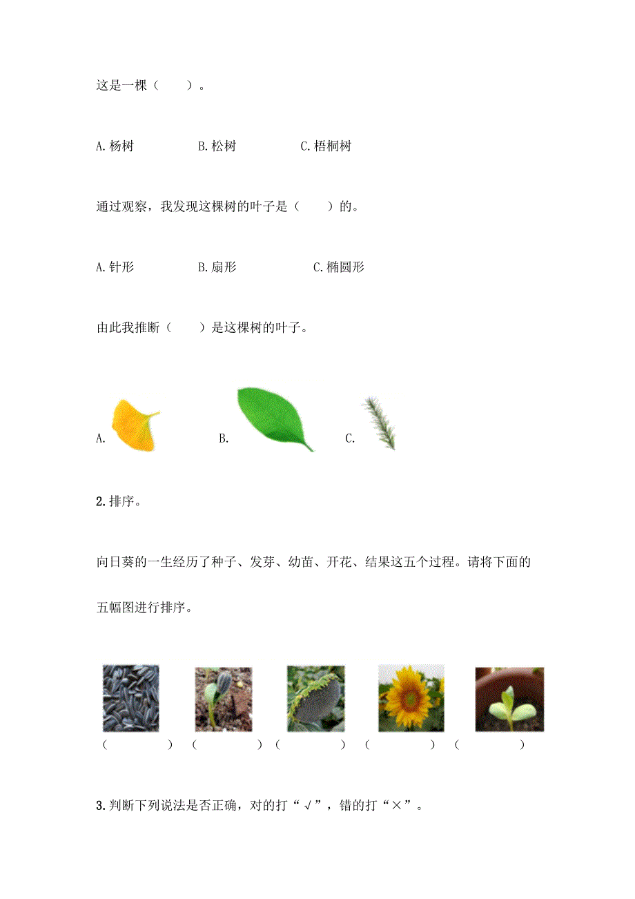 教科版科学一年级上册第一单元-植物-测试卷及参考答案【轻巧夺冠】.docx_第4页