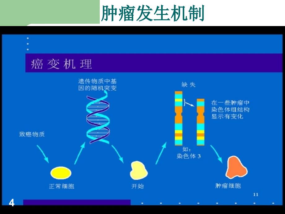 肿瘤知识培训ppt课件_第4页