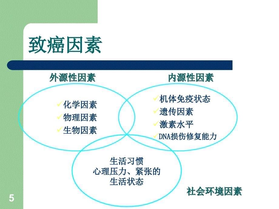 肿瘤知识培训ppt课件_第5页