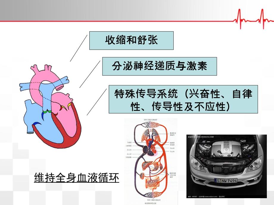 康复评定——心肺功能评定通用课件_第3页