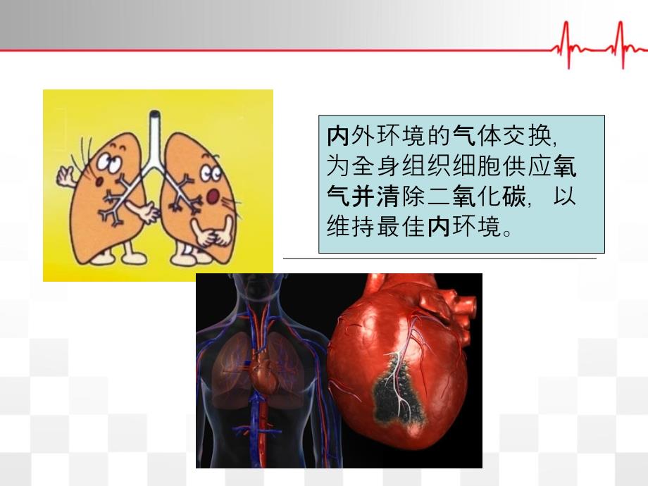 康复评定——心肺功能评定通用课件_第4页