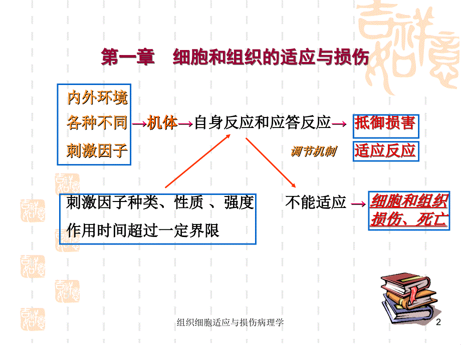 组织细胞适应与损伤病理学课件_第2页