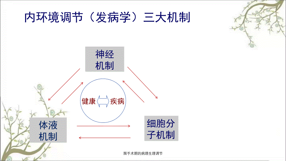 围手术期的病理生理调节_第2页