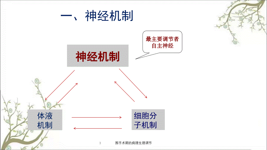 围手术期的病理生理调节_第3页