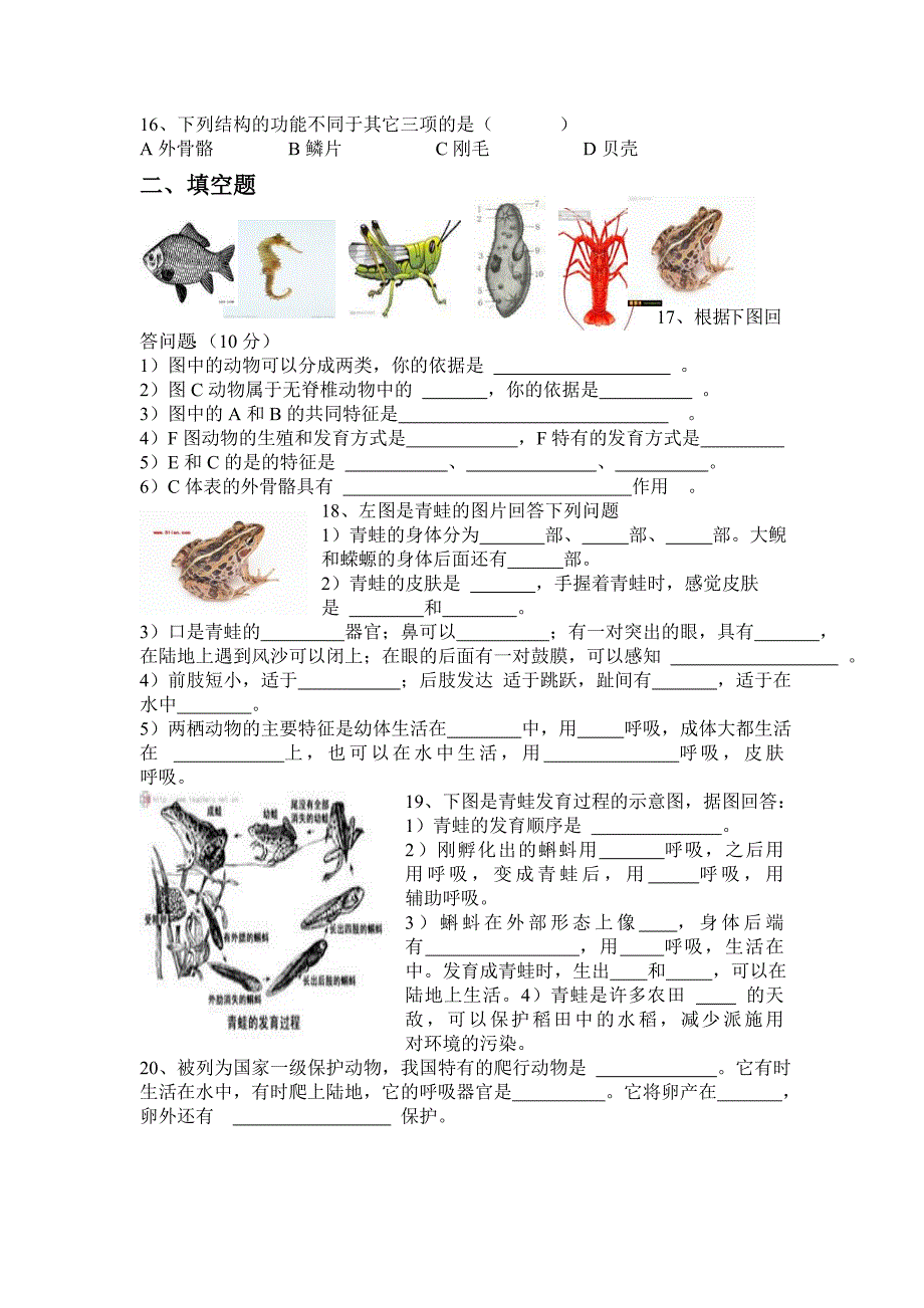 两栖动物附答案(精品)_第2页