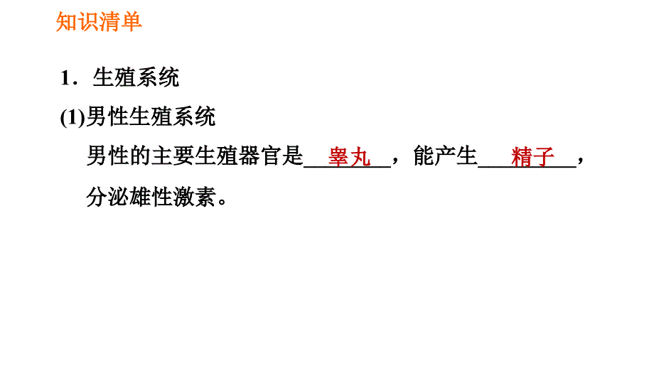 人教版七年级下册生物 第1章 4.1.2 人的生殖 习题课件2_第2页