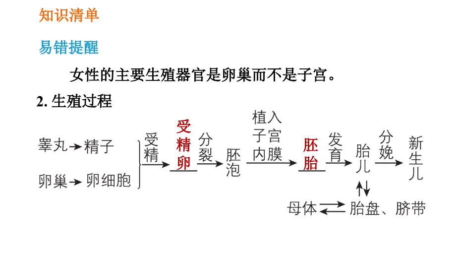 人教版七年级下册生物 第1章 4.1.2 人的生殖 习题课件2_第4页