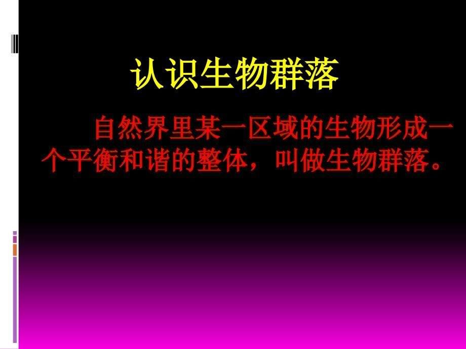 五年级上册科学课件1.8维护生态平衡教科版共11张PPT_第5页