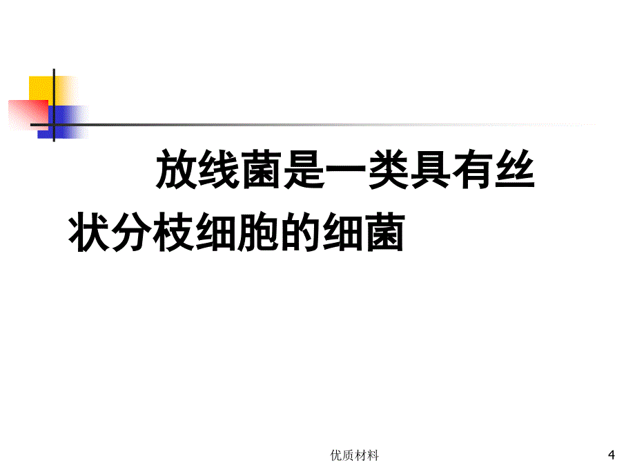 放线菌科普#高级教学_第4页