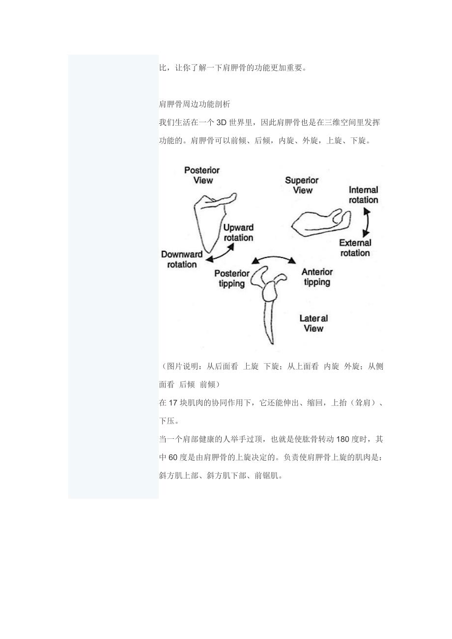 肩关节得训练.doc_第4页