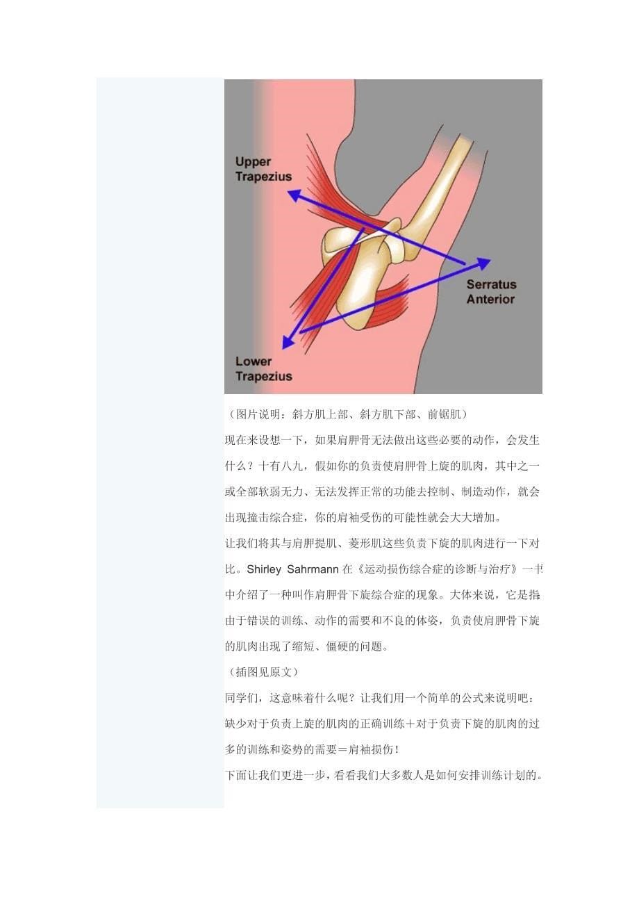 肩关节得训练.doc_第5页