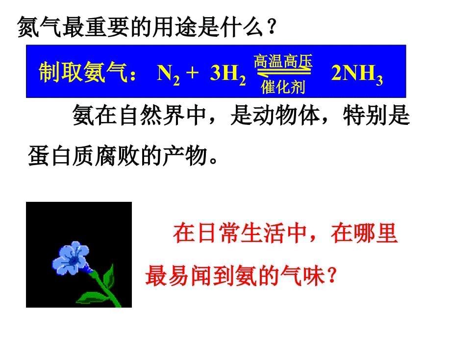 必修一氨的性质课件_第5页