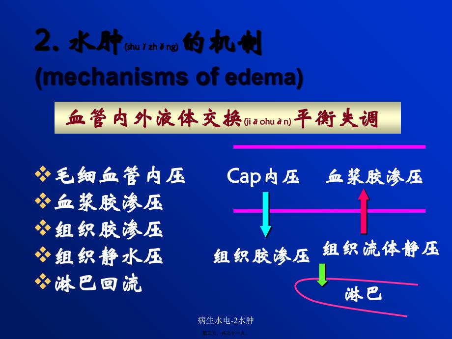 病生水电2水肿课件_第3页