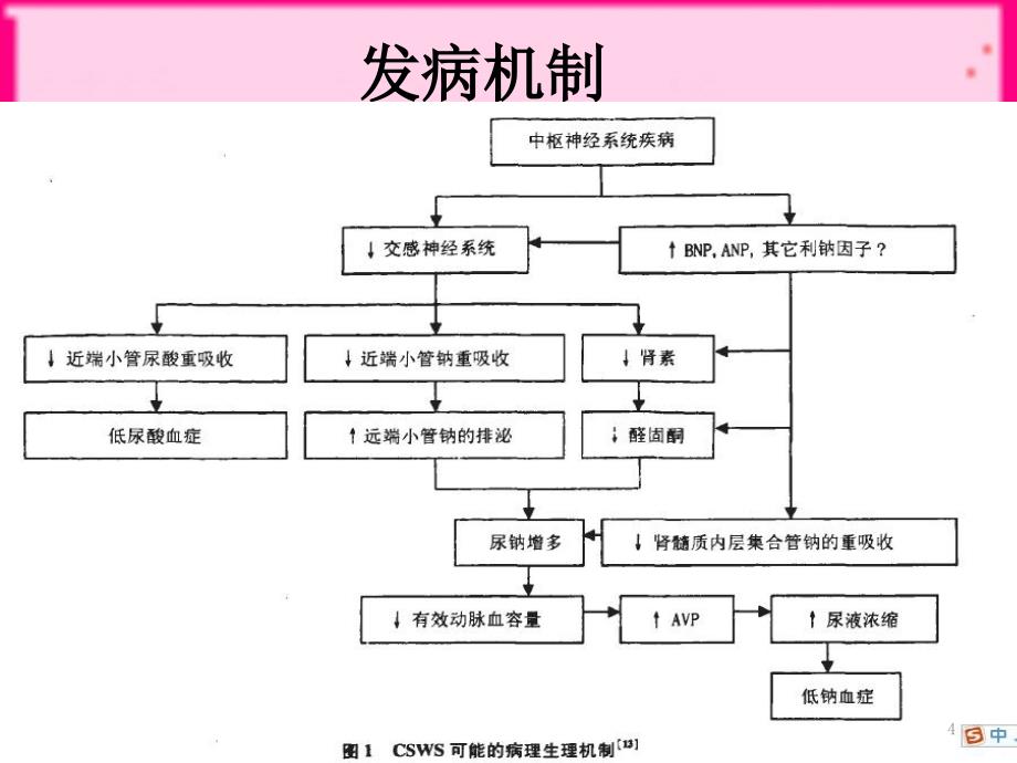 推荐精选脑性耗盐综合症_第4页