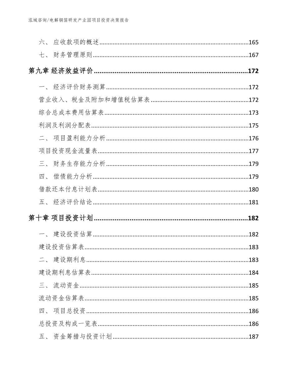 电解铜箔研发产业园项目投资决策报告_第5页