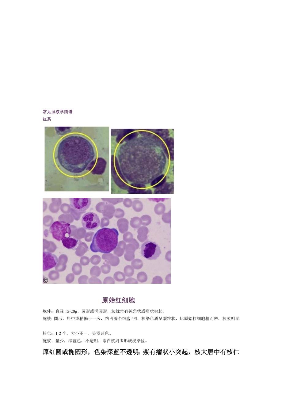 血液学图谱(基础部分).doc_第1页