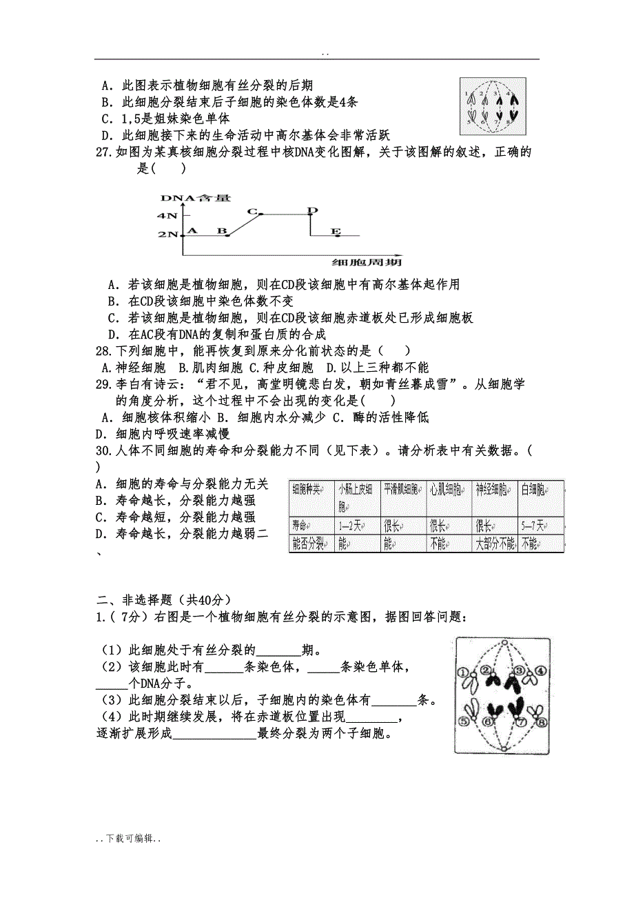 生物必修一第六章单元测试题(卷)(DOC 7页)_第4页