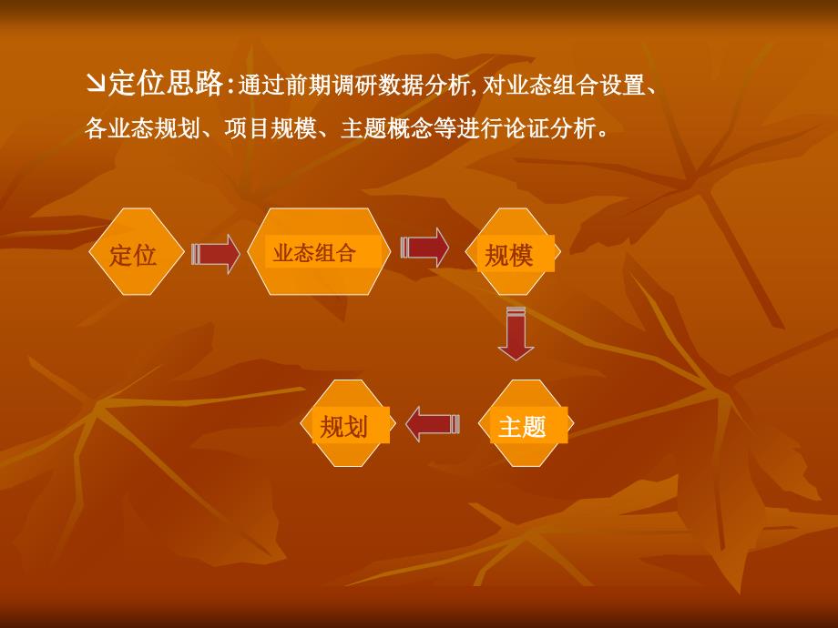 某商业项目定位咨询报告cmht_第4页