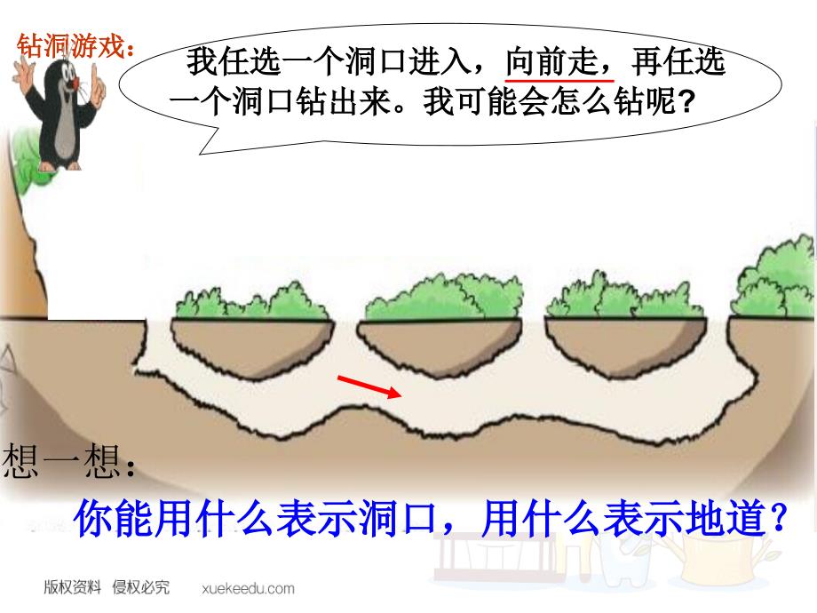 【优选】四年级上册数学课件数图形的学问 北师大版(共14张PPT)_第2页