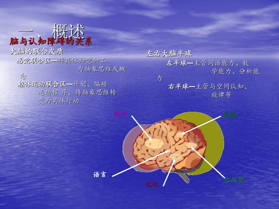 认知障碍的评定与康复ppt课件_第3页