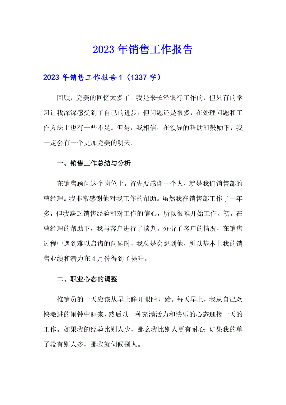 2023年销售工作报告（精编）_第1页