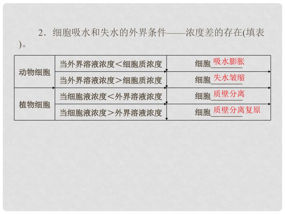 高考生物总复习（基础回顾+考点透析+实验导航+走近高考）第二单元 第7讲物质跨膜运输的实例拔高精讲课件 新人教版必修1_第4页