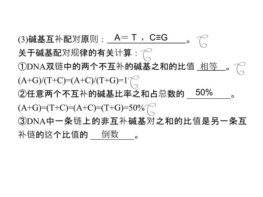 人教版教学课件生物高考一复习课件：必修2 第3章 第2节 DNA分子的结构ppt_第5页