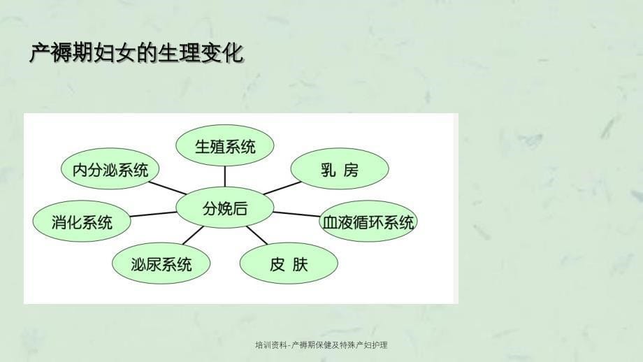 产褥期保健及特殊产妇护理_第5页