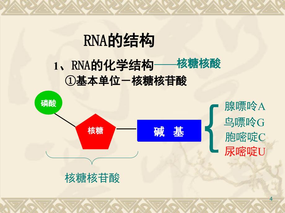 DNA的转录和翻译分享资料_第4页