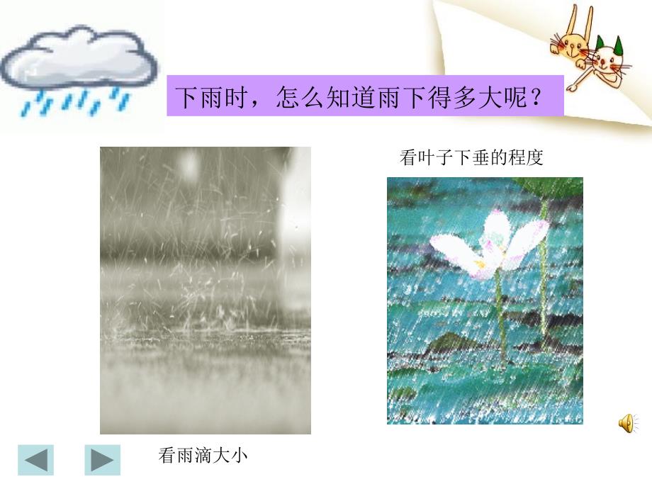 小学科学三年级上册我的雨量器精品课件_第4页