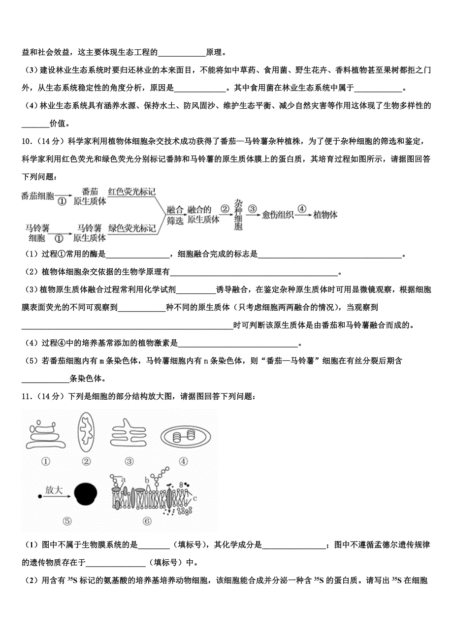 2023学年湖北省武汉市黄陂区汉口北高中生物高二下期末检测模拟试题（含解析）.doc_第3页