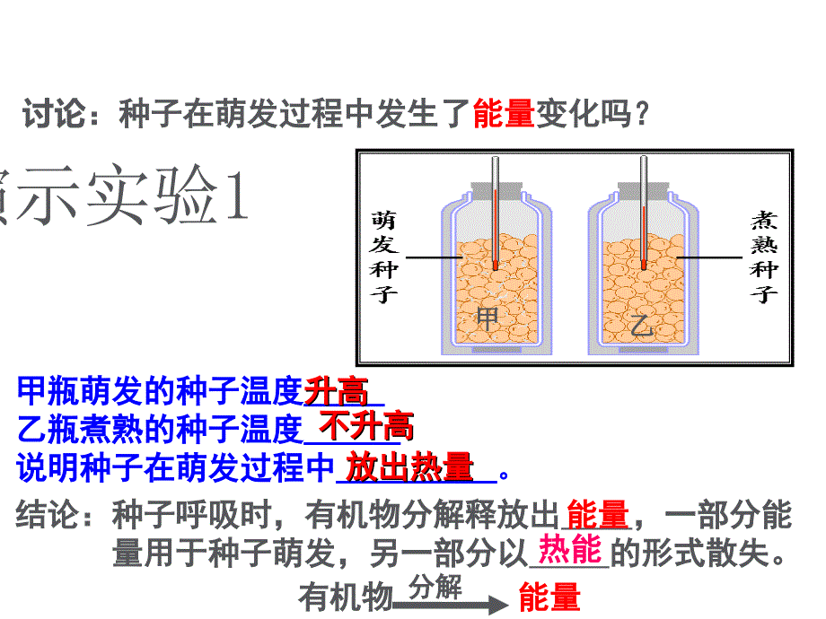 第四节呼吸与呼吸作用课件6_第3页