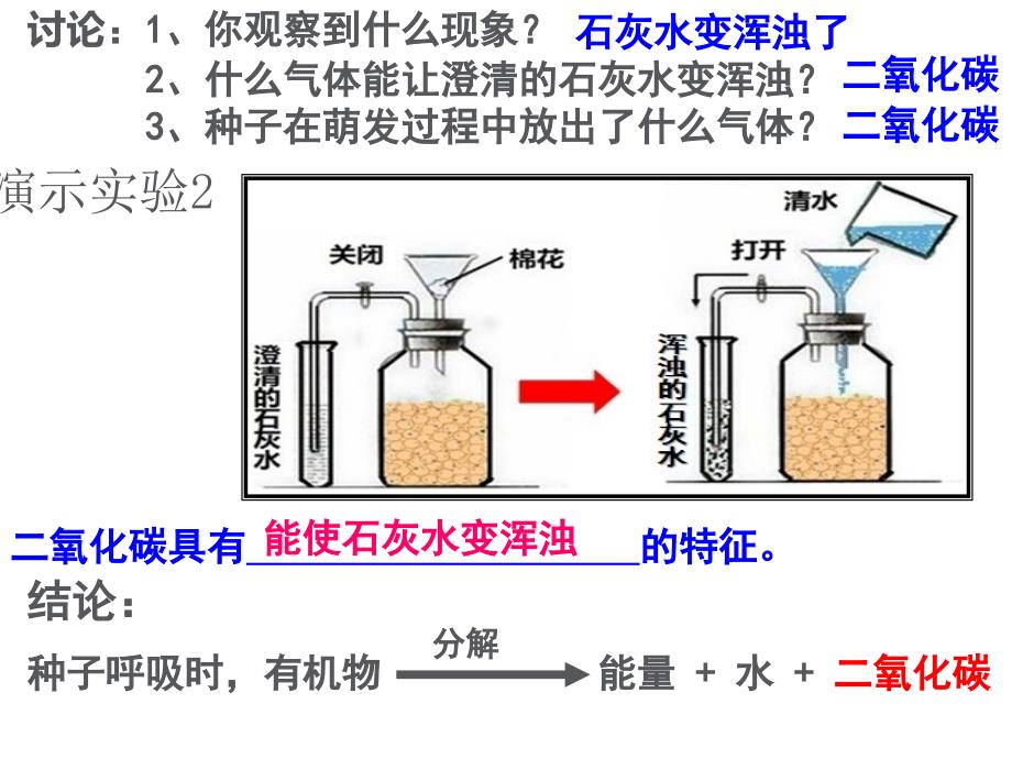 第四节呼吸与呼吸作用课件6_第4页