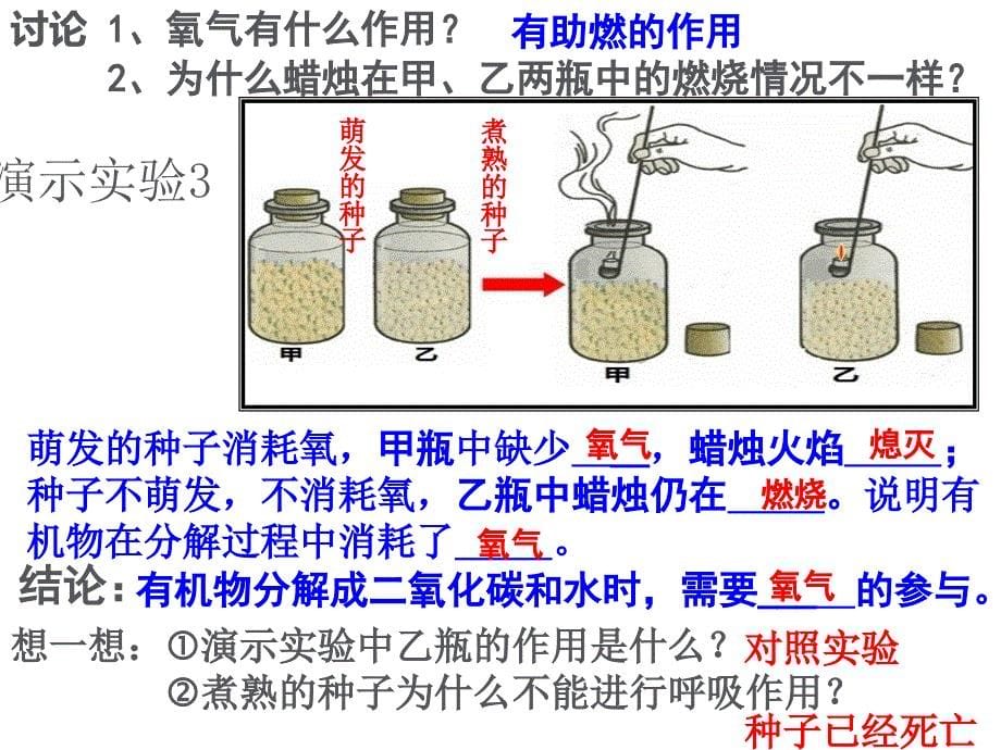 第四节呼吸与呼吸作用课件6_第5页