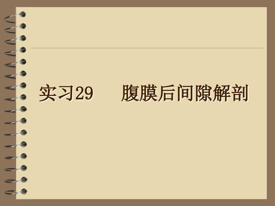 腹膜后间隙解剖_第1页