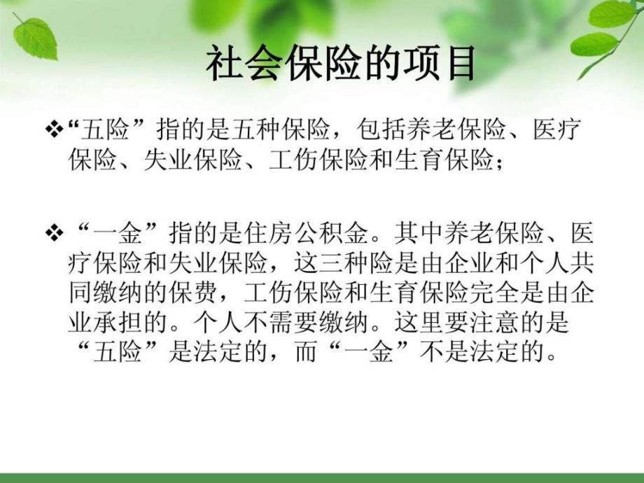 社会保险与商业保险的区别.ppt_第3页