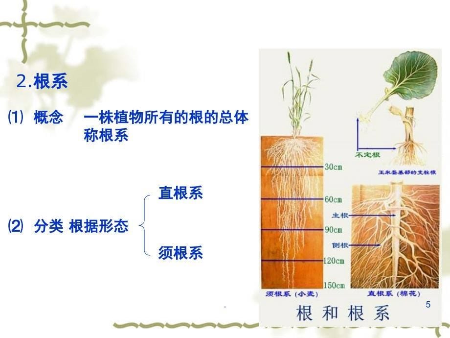 根里的抽水机PPT精品文档_第5页