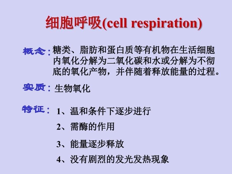 线粒体作用机理.ppt_第5页