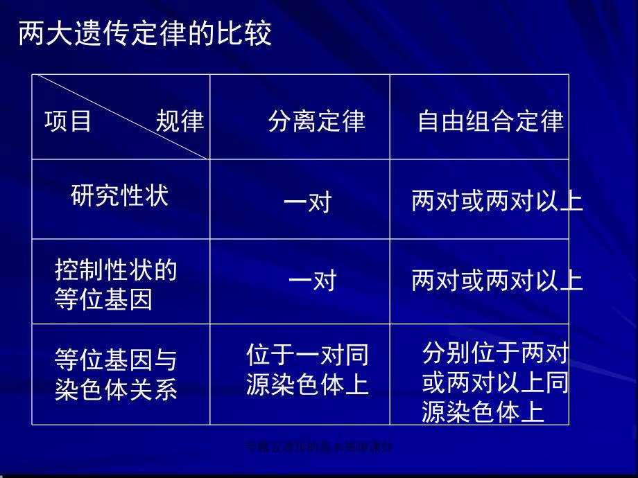 专题五遗传的基本规律课件_第4页