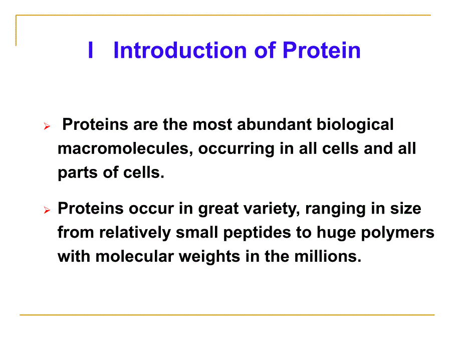 新编02proteinchemistry精品课件_第3页