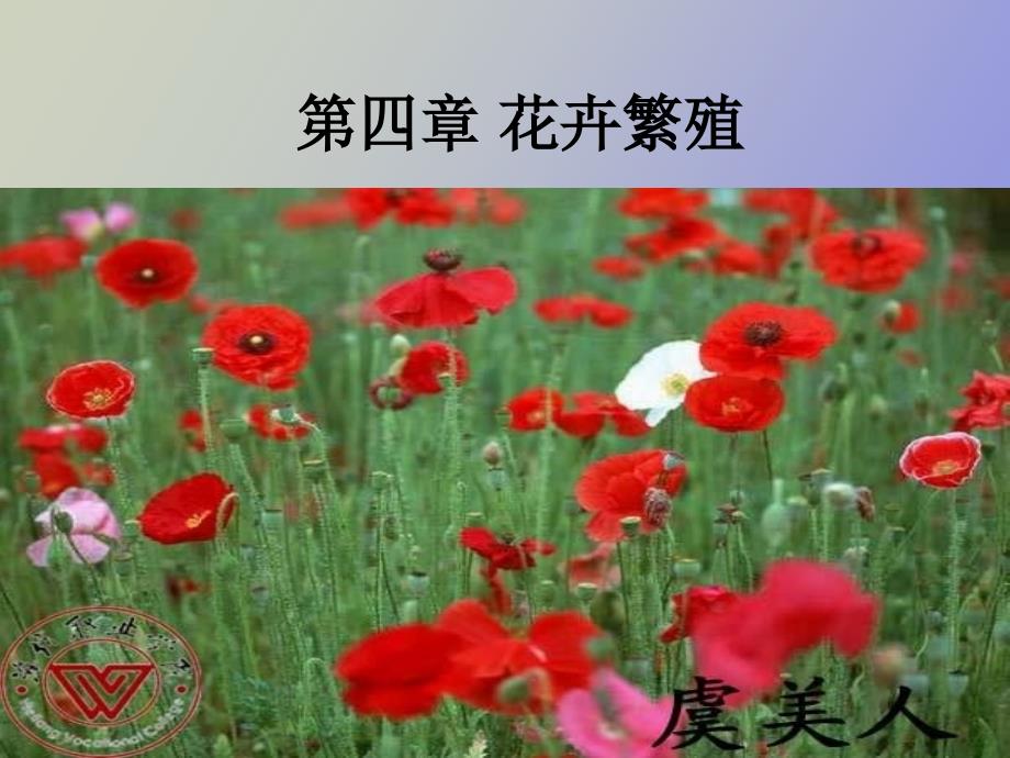 花卉繁殖扦插_第1页