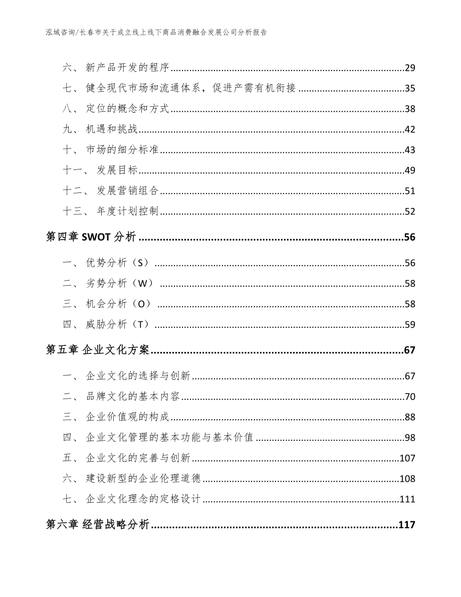 长春市关于成立线上线下商品消费融合发展公司分析报告模板参考_第3页