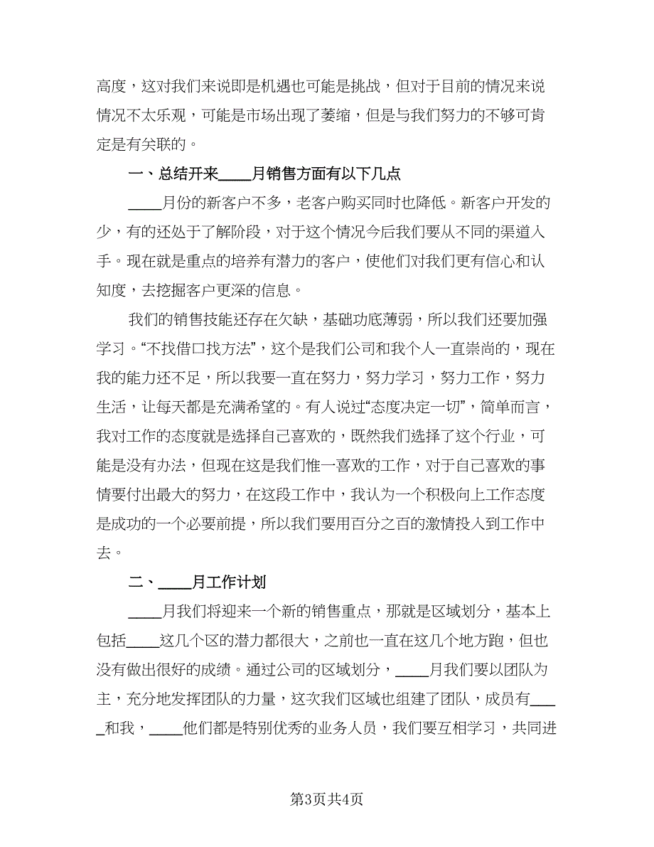 销售月度工作总结和计划（二篇）.doc_第3页