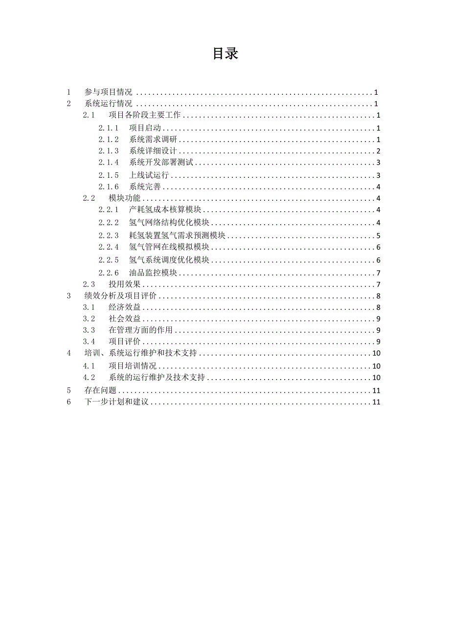 系统用户报告_第2页