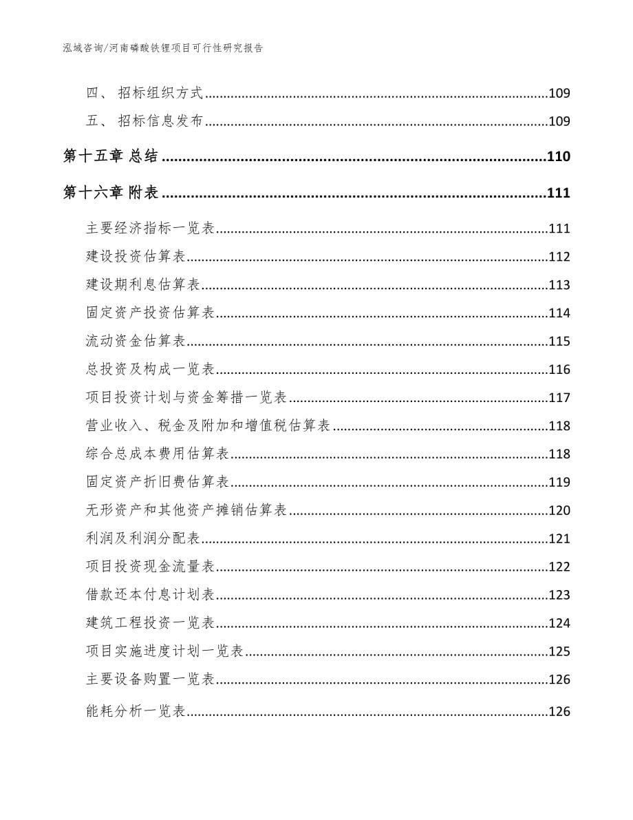 河南磷酸铁锂项目可行性研究报告【模板范本】_第5页